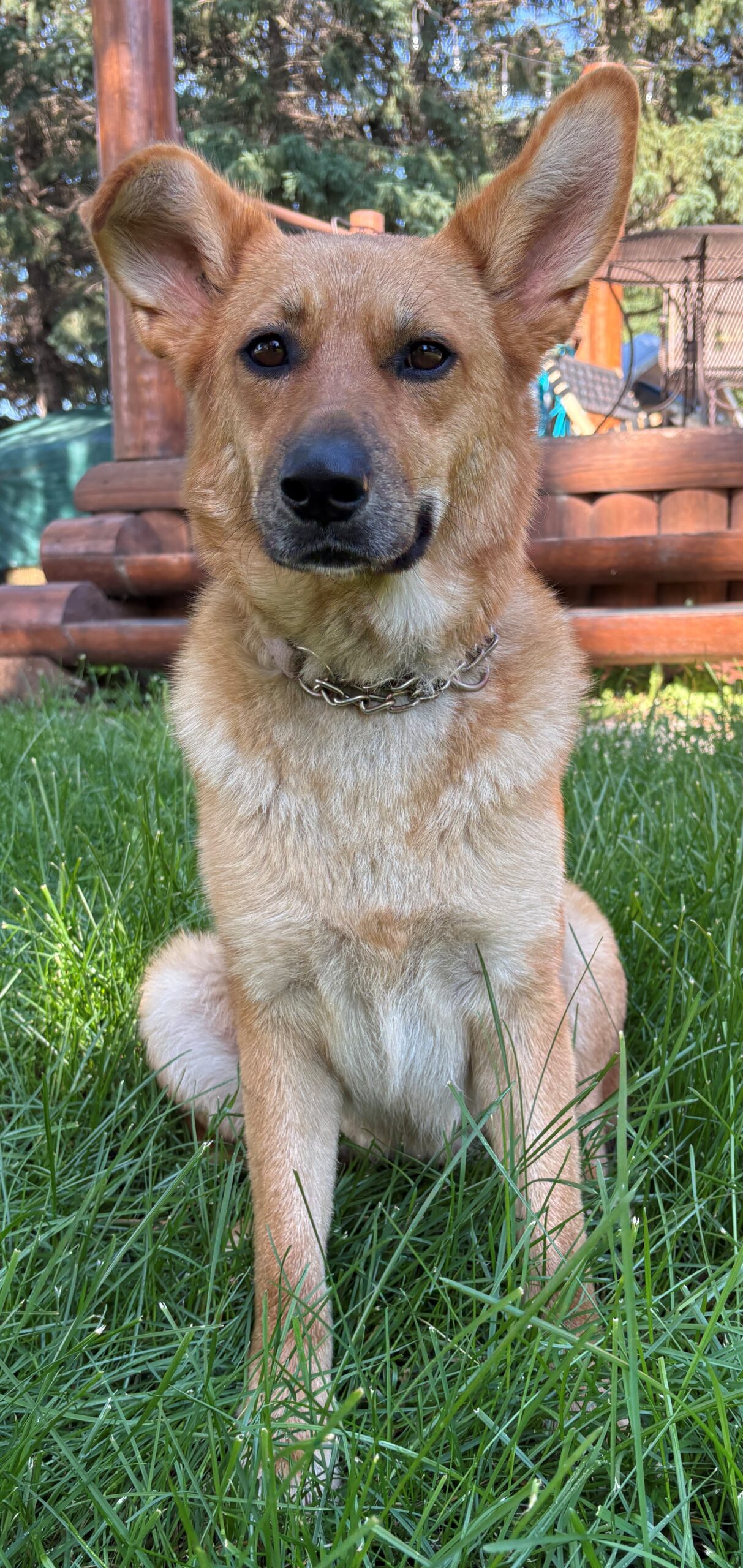 Mindy - Image 2
