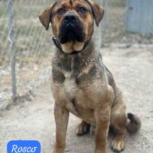 Rosco