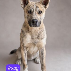 Rusty