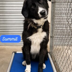 Summit